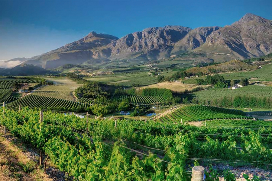 Thông tin về nhà sản xuất Anthonji Rupert Wyne